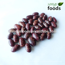 Lieferant für rote Bohnen in China pflanzen